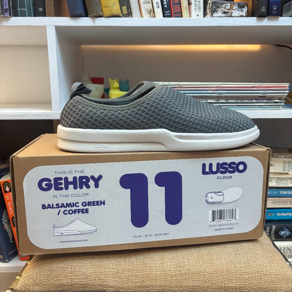 Lusso Cloud Gehry shoes 11